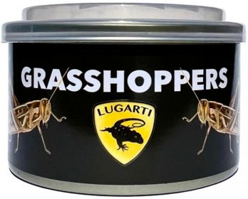 1.2 oz Lugarti Canned Grasshoppers Treat for Insectivores