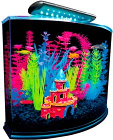 1 count GloFish Aquarium Kit with LED Light 5 Gallons