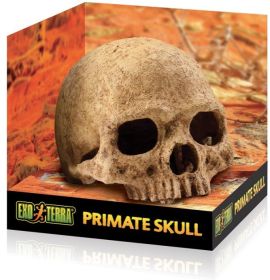 1 count Exo Terra Terrarium Primate Skull Decoration