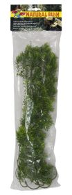 Large - 1 count Zoo Med Naturalistic Flora Borneo Star Terrarium Plant