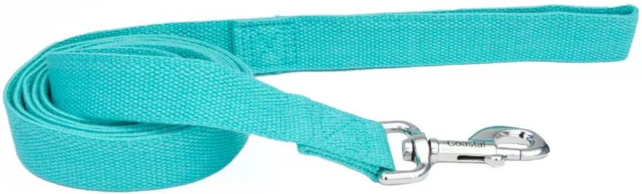 Coastal Pet New Earth Soy Dog Lead Mint Green (size: 6 feet x 5/8"W)