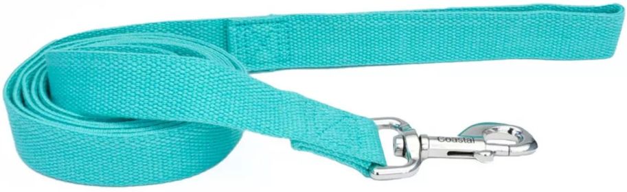 Coastal Pet New Earth Soy Dog Lead Mint Green (size: 6 feet x 1"W)