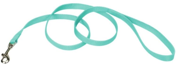 Coastal Pet Single-ply Teal Nylon Dog Lead (size: 4 feet x 5/8"W)