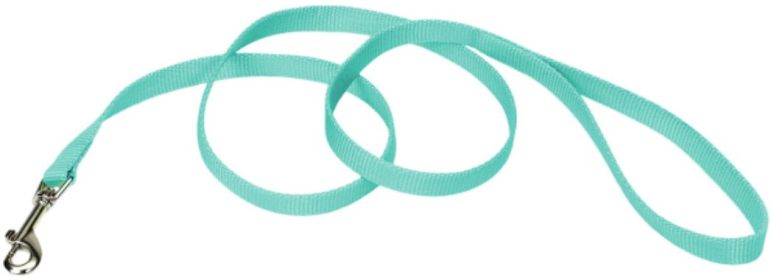 Coastal Pet Single-ply Teal Nylon Dog Lead (size: 6 feet x 5/8"W)