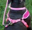 Coastal Pet Comfort Soft Wrap Adjustable Dog Harness Blue