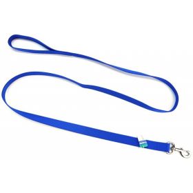 Coastal Pet Single Nylon Lead Blue (size: 6 feet x 1"W)