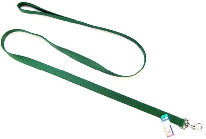 Coastal Pet Single Nylon Lead Hunter Green (size: 6 feet x 1"W)