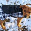 Alpine All-Weather Dog Coat - Black and White Plaid