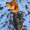 Alpine All-Weather Dog Coat - Black and White Plaid