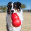 KONG Bounzer Red Rubber Dog Toy